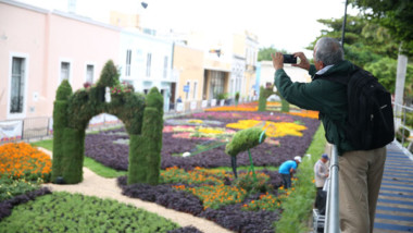 Desmontan el Camino de Flores