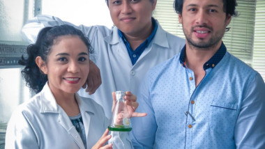 Con algas mejoran la producción avícola y porcícola