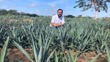 Nerio Torres, asume como presidente del Consejo Agroalimentario de Yucatán