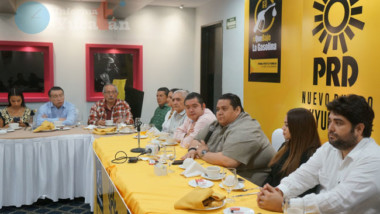 Piden al CEN del PRD, nombrar una Directiva provisional en Yucatán