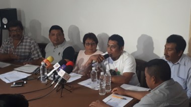 Apicultura en crisis por pesticidas