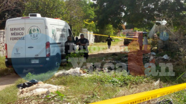 Matan a hombre en un predio en Mulchechén