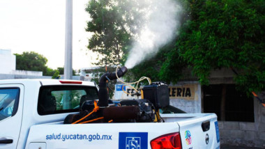 Yucatán cerró el año con 261 casos de dengue