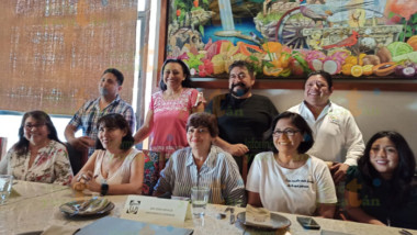 Convocan a mega marcha contra cobro de impuestos y reemplacamiento