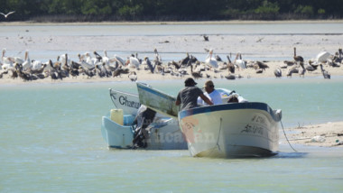 Pescadores yucatecos reciben apoyo económico de $2 mil pesos