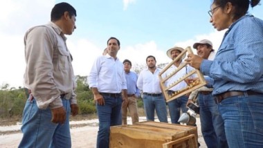 Yucatán, primer lugar a nivel nacional en producción de miel y pavo