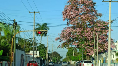Pronostican mucho calor para Yucatán