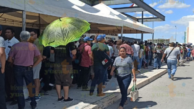 Yucatecos peregrinan hasta 10 horas en la fila en módulo vehicular de la SSP