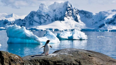 ¿La Antártida se derrite? Por primera vez en la historia, su temperatura supera los 20 grados