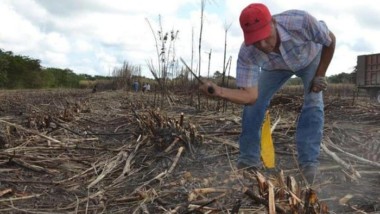Anticipan fuerte sequía en Yucatán