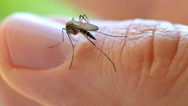 Enfermedades tropicales serían controlables