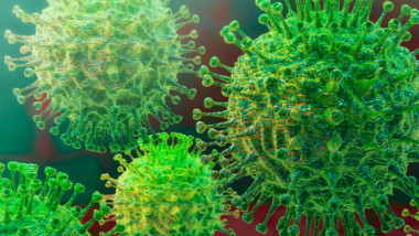 ¿Qué sabes del Coronavirus?