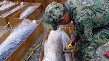 Congelan cuentas a empresa yucateca por trasiego de droga en tiburones