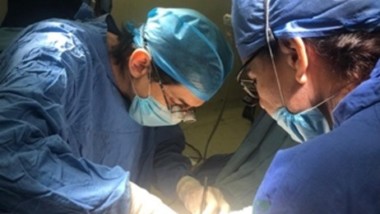 Yucatán, quinto lugar nacional en trasplante renal