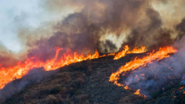 Hay 86 incendios activos en territorio mexicano