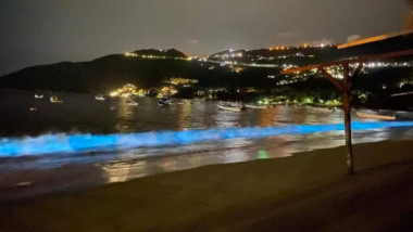 Ante ausencia de personas por cuarentena, playa en Acapulco sorprende con bioluminiscencia