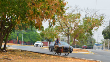 Calor y chubascos acompañarían este domingo