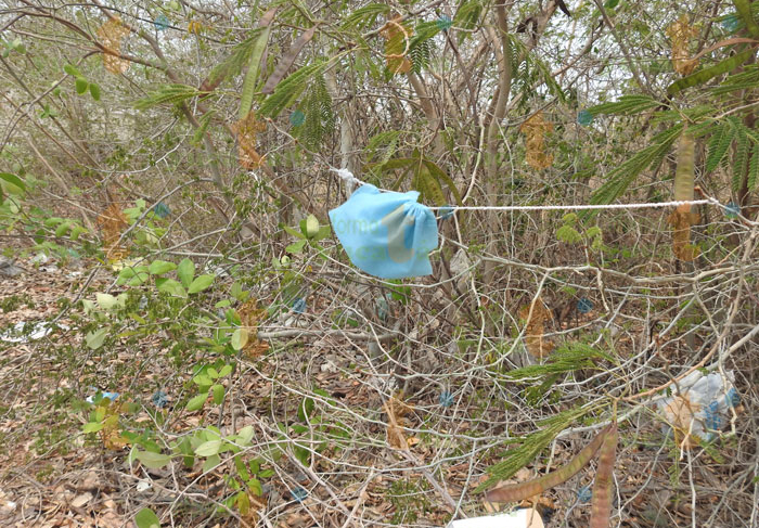 cubrebocas-basura-