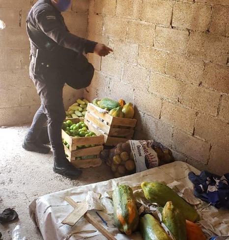 frutas-recuperadas-uman