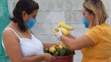 Apoyan con frutas, verduras y carne a familias yucatecas