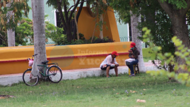 Joven yucateca toma clases en línea en un parque público