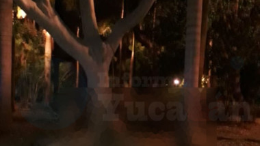 Se quita la vida en un árbol de Gran Santa Fe