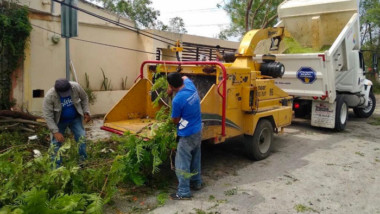 Lluvia deja inundaciones y árboles caídos en Mérida