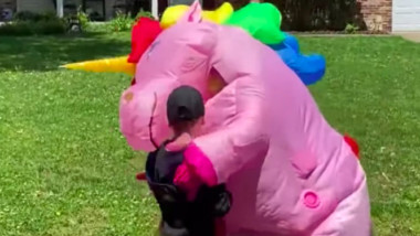 Abuelita se disfraza de unicornio para poder abrazar a sus nietos