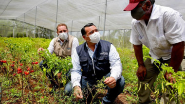 Pandemia y lluvias afectan a productores de comisarías meridanas