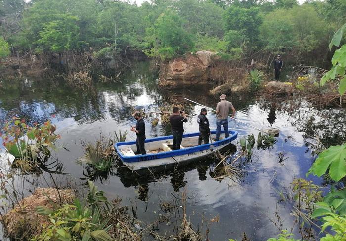 busqueda-de-cocodrilo-