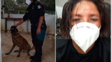 Por rescatar a un perro, mujer policía es atacada por abejas