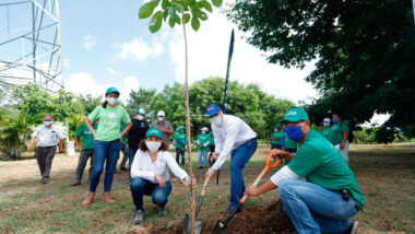 Concluye la Cruzada Forestal 2020: Mérida ya cuenta con 20,000 árboles más