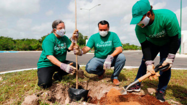 Arranca la Cruzada Forestal 2020 en Mérida