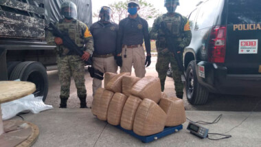 Ejército asegura media tonelada de marihuana en Yucatán