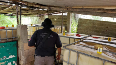 Yucatán: Decomisan más de 3 mil litros de huachicol
