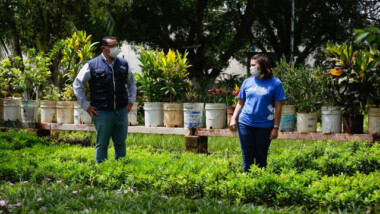 Aumenta demanda de “Adopta un árbol” durante el confinamiento