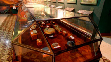 El Museo de Historia Natural de Mérida celebra su aniversario 33