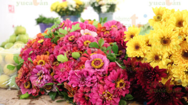 Covid19 ‘sepulta’ la celebración del Día de Muertos