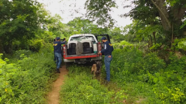 Buscan a Érika en montes de Huhí