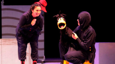 Pequeño cuervo, teatro para primarias en espacios digitales