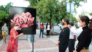 Las artes visuales se apropian de espacios públicos en Mérida y Progreso