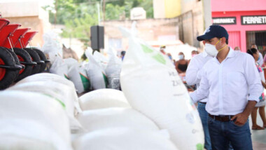 Azúcar para las abejas