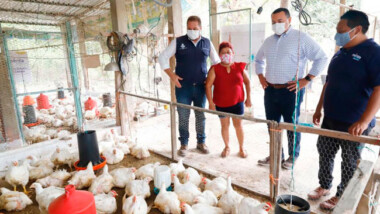 Continúa el apoyo al sector rural de Mérida ante la pandemia