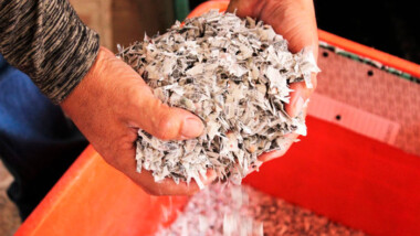 Destruyen credenciales “abandonadas” en el INE desde el 2019