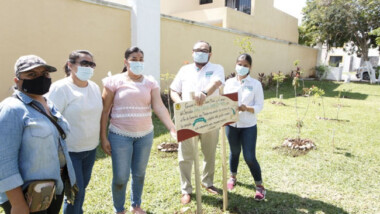 Mérida tiene el primer jardín urbano para abejas y colibríes