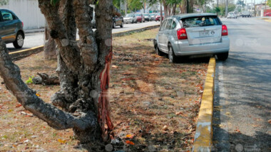 Esquiva un auto y termina en el camellón
