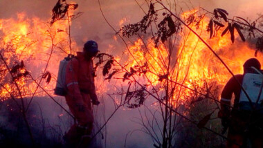 Consume el fuego más de 1,400 hectáreas en Yucatán