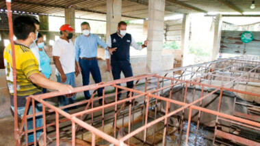 Créditos agropecuarios, respiro de familias de comisarías durante la pandemia