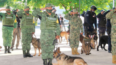 Mérida refuerza tácticas de seguridad con agentes caninos