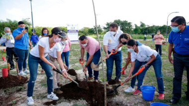 Plantarán dos mil árboles en “Paseo Henequenes” recordando a las víctimas del covid